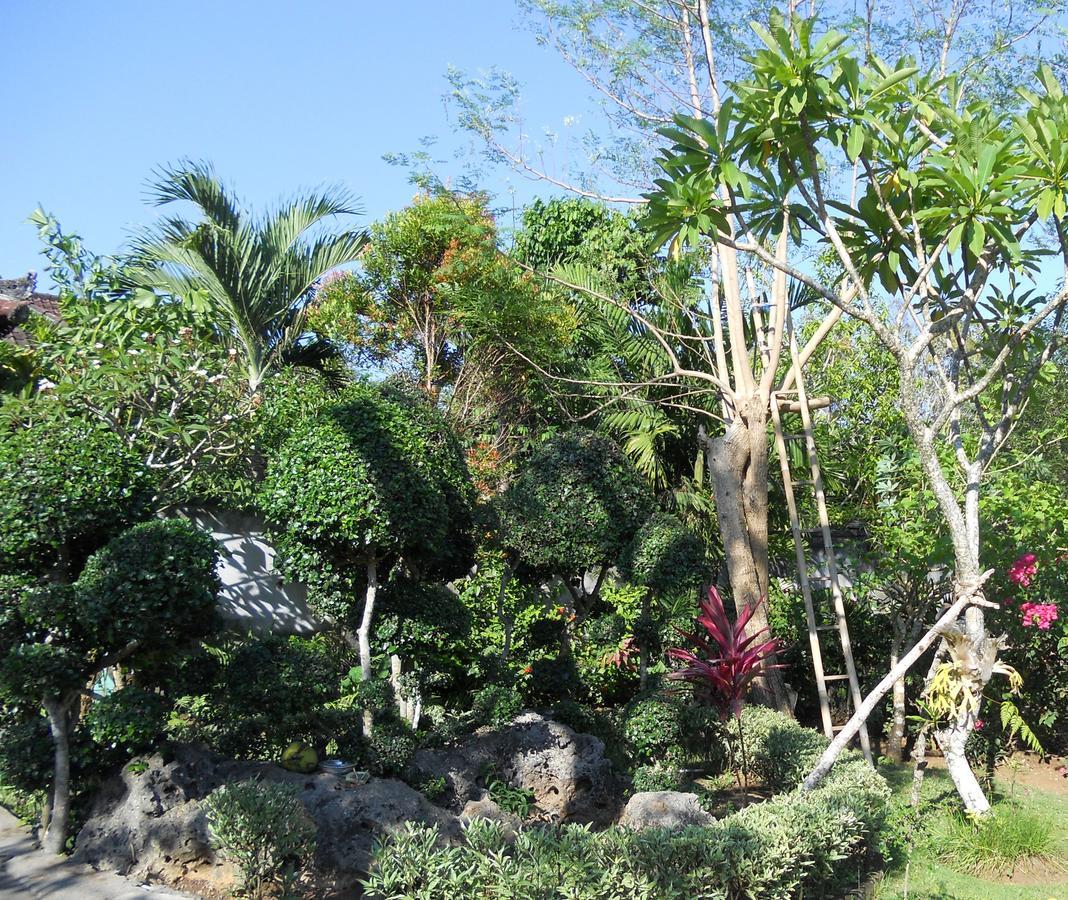 Avisara & Resort